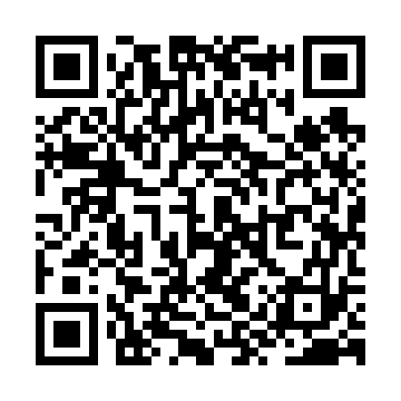 QR code for ZYY673