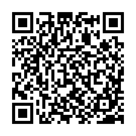 QR code for ZYZ384
