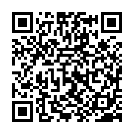 QR code for ZYZ911