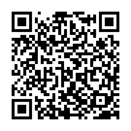 QR code for ZZB369