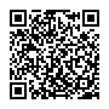 QR code for ZZB911