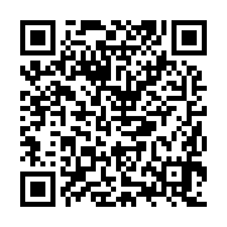 QR code for ZZB995