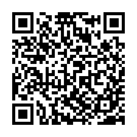QR code for ZZC387