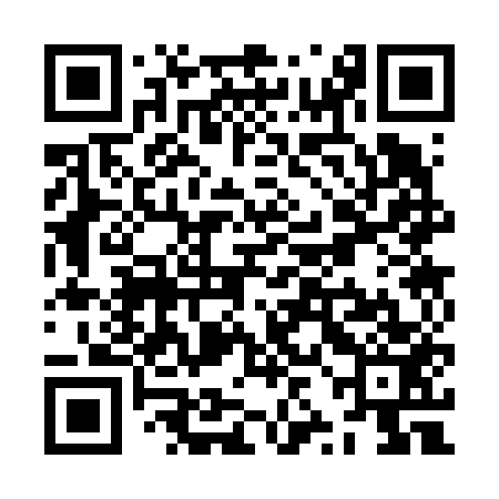 QR code for ZZC653
