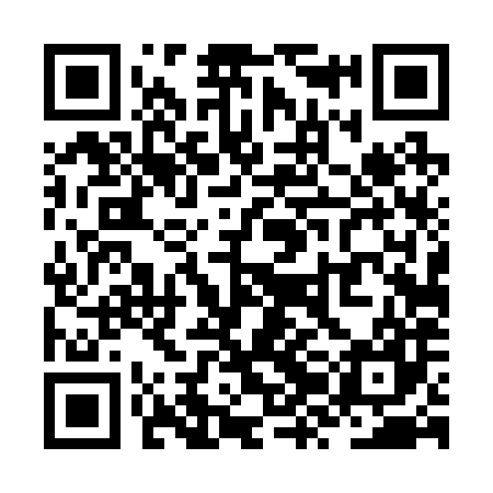 QR code for ZZD287