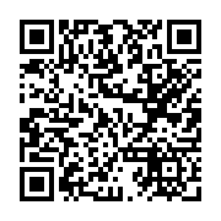 QR code for ZZD367