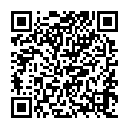 QR code for ZZD399