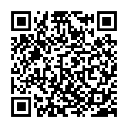 QR code for ZZG271