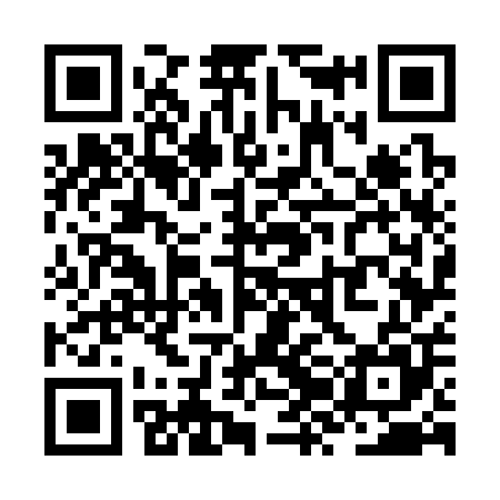 QR code for ZZG305