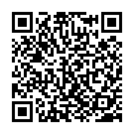 QR code for ZZG508