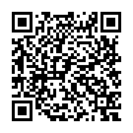 QR code for ZZG935