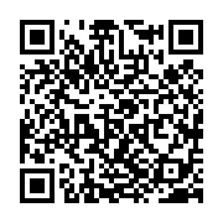 QR code for ZZH419