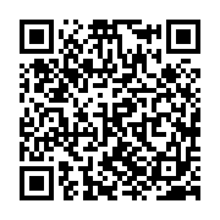 QR code for ZZH813