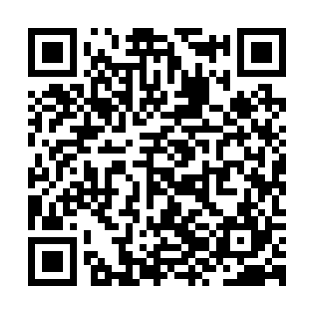 QR code for ZZI224