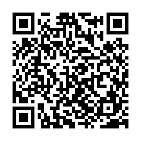 QR code for ZZI226