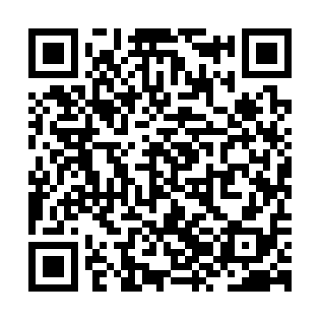 QR code for ZZI318
