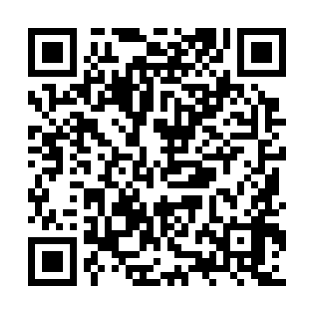 QR code for ZZI398
