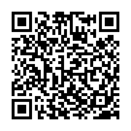 QR code for ZZI410