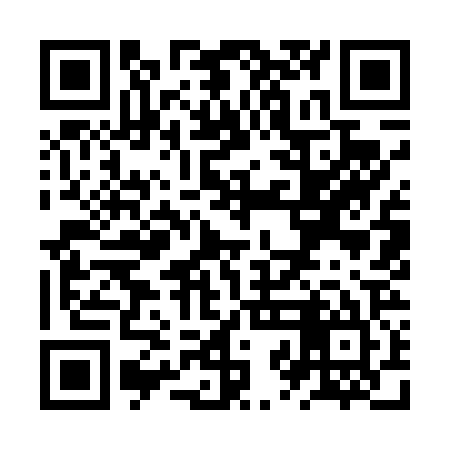 QR code for ZZI425