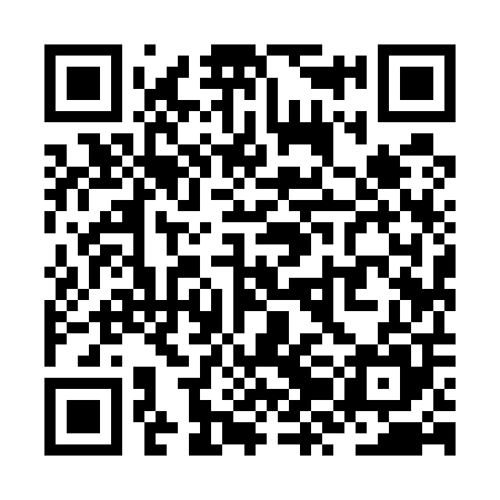 QR code for ZZI505