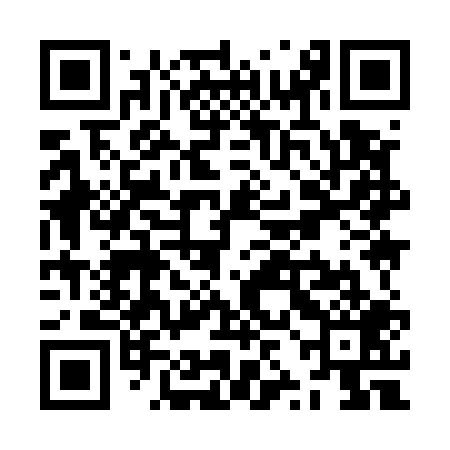 QR code for ZZI509