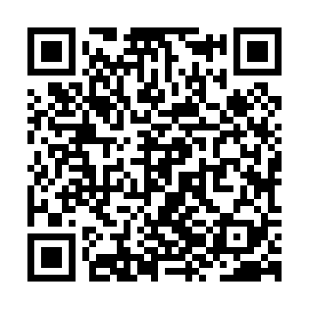 QR code for ZZJ029