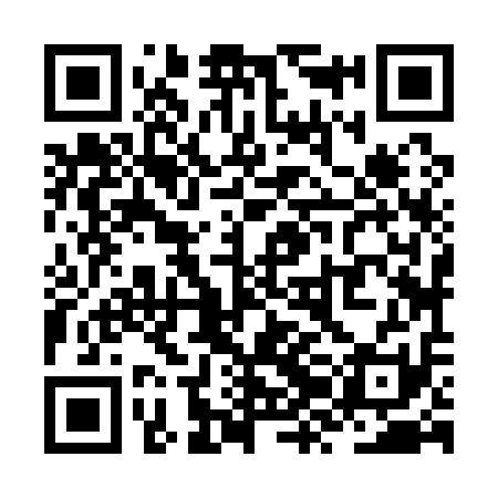 QR code for ZZJ111