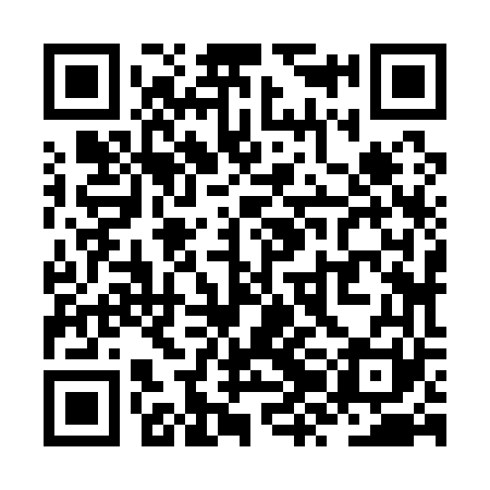 QR code for ZZJ161