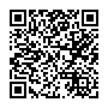 QR code for ZZJ313