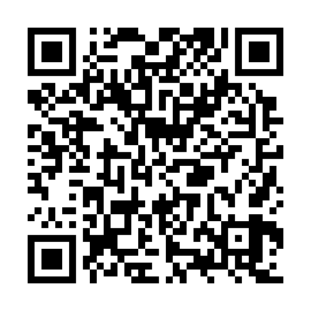 QR code for ZZJ369