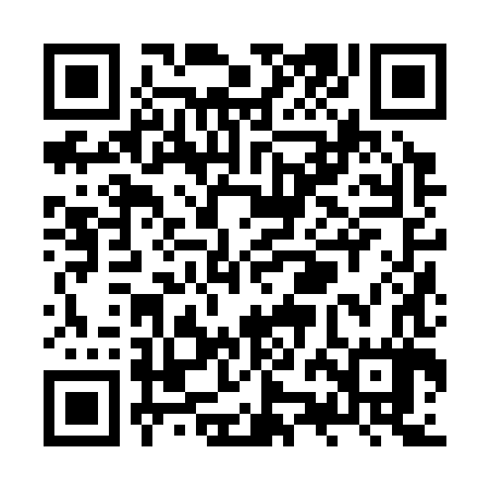 QR code for ZZJ387