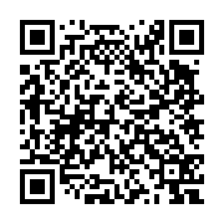 QR code for ZZJ436