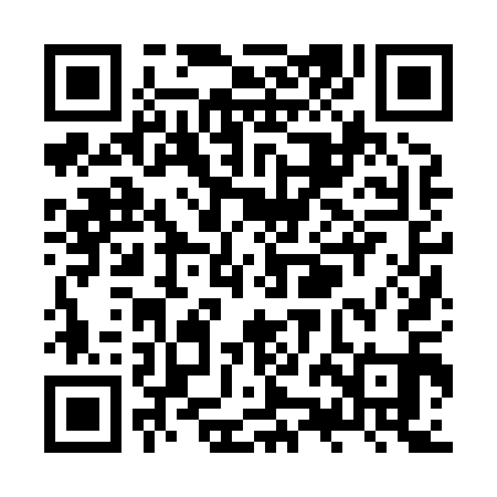 QR code for ZZJ811