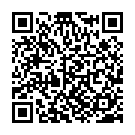 QR code for ZZL125