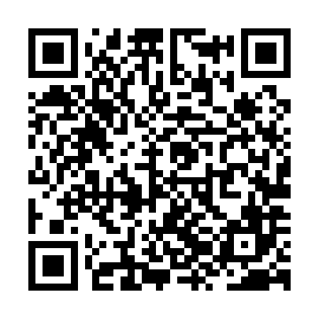 QR code for ZZL186