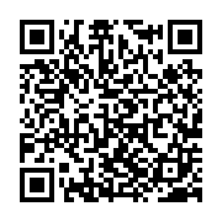 QR code for ZZL203