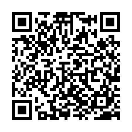 QR code for ZZL227