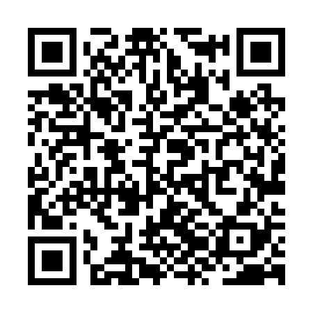 QR code for ZZL228