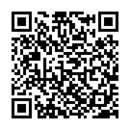QR code for ZZL291