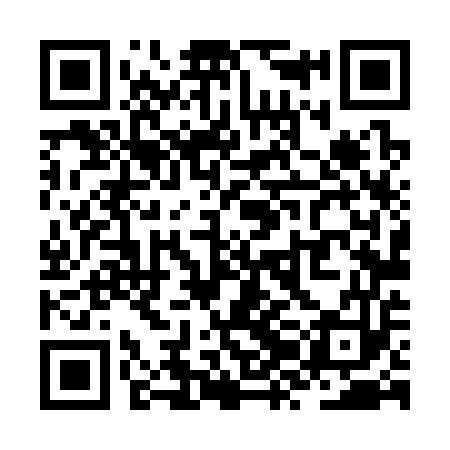 QR code for ZZL353