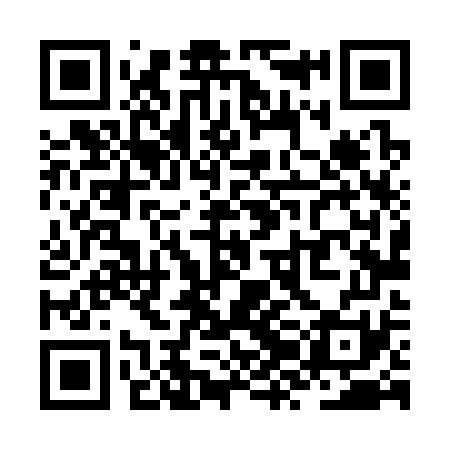 QR code for ZZL371