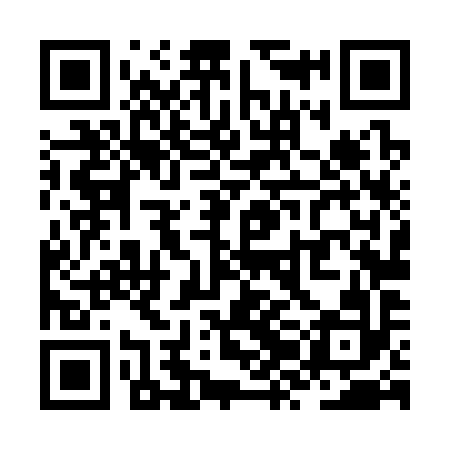 QR code for ZZL392
