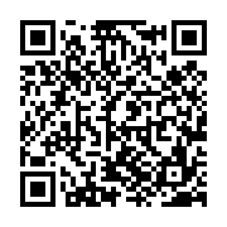 QR code for ZZL436