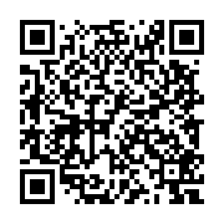 QR code for ZZL509