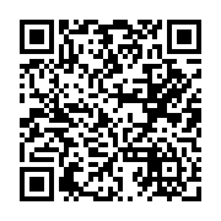 QR code for ZZL545