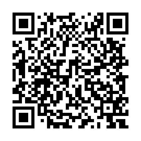 QR code for ZZL555