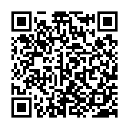 QR code for ZZL700