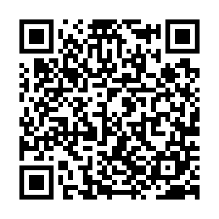 QR code for ZZL745