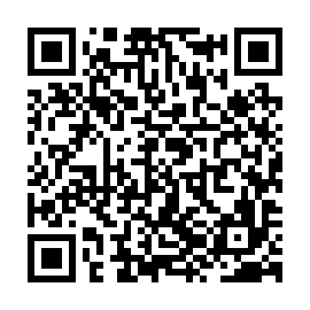 QR code for ZZM296