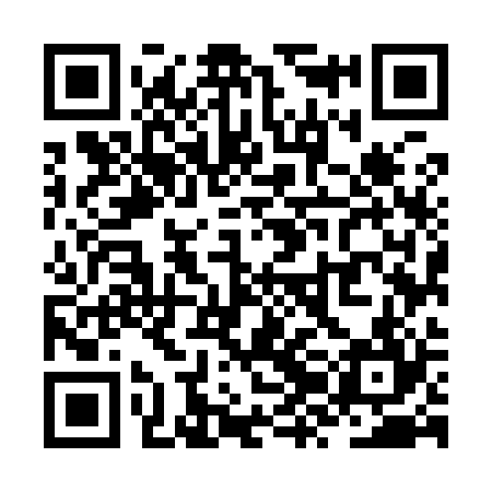 QR code for ZZM924